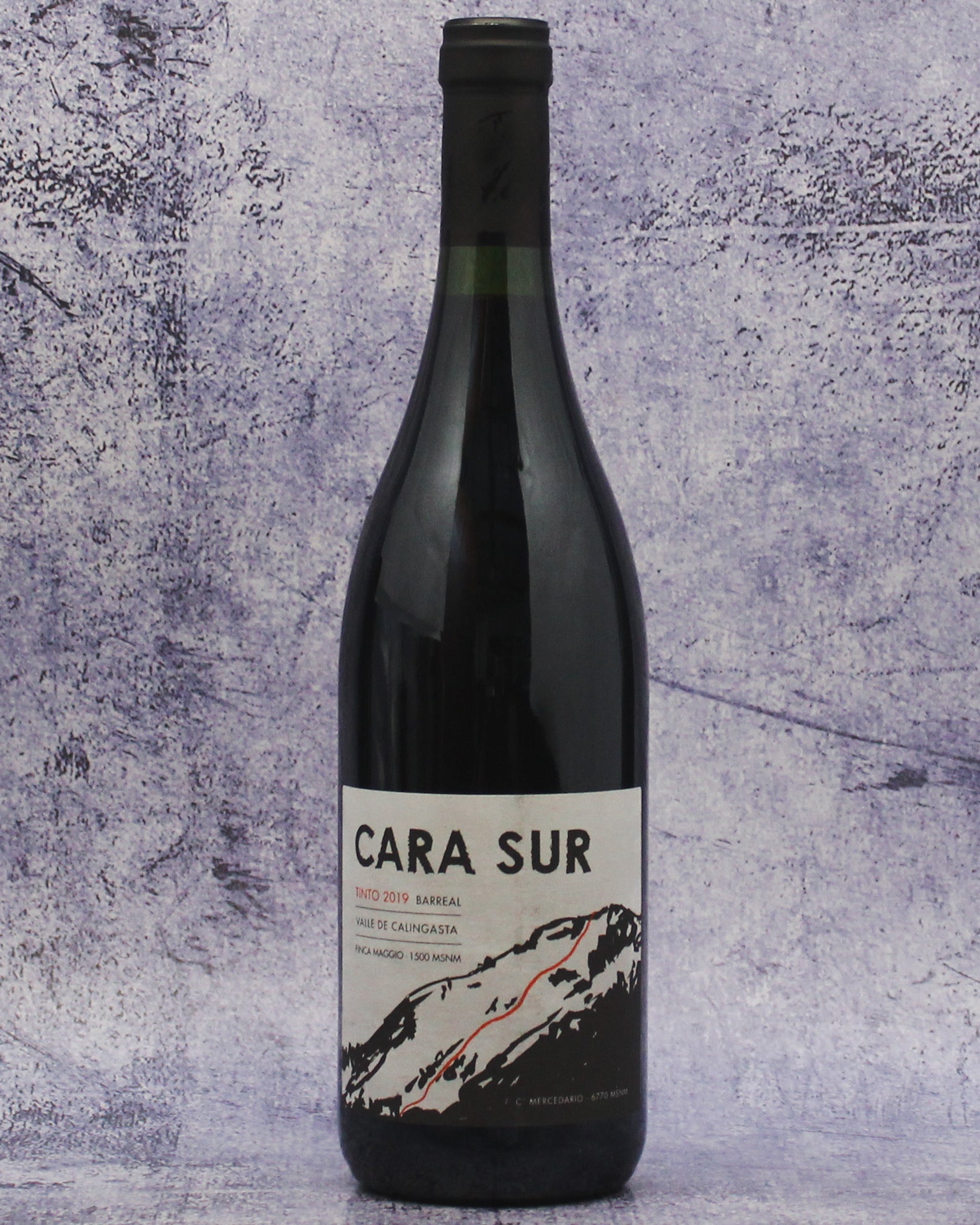 2019 Cara Sur Tinto, Barreal, Valle de Calingasta, Argentina