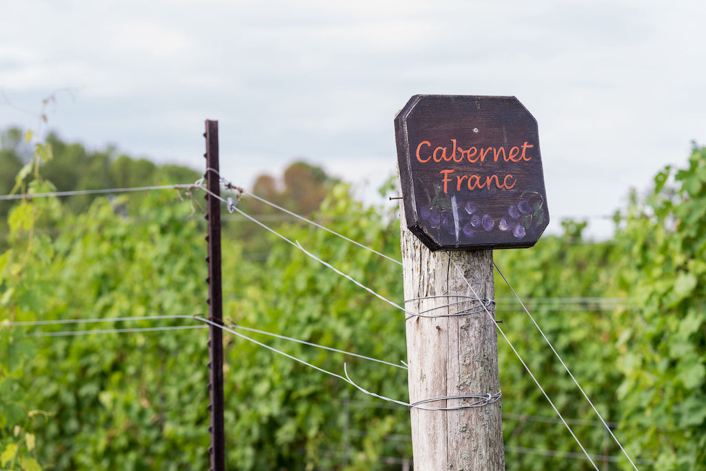 Cabernet Franc
