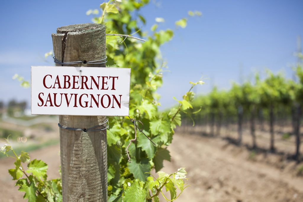 Cabernet Sauvignon