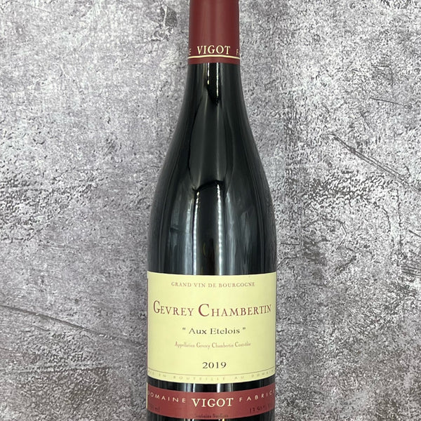 2019 Domaine Fabrice Vigot Gevrey-Chambertin Aux Etelois