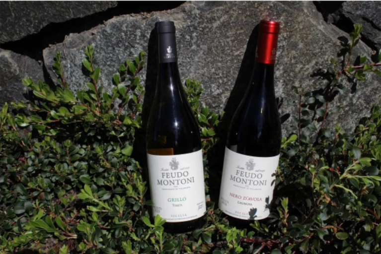 2018 Feudo Montoni Nero d'Avola Lagnusa Sicilia DOC